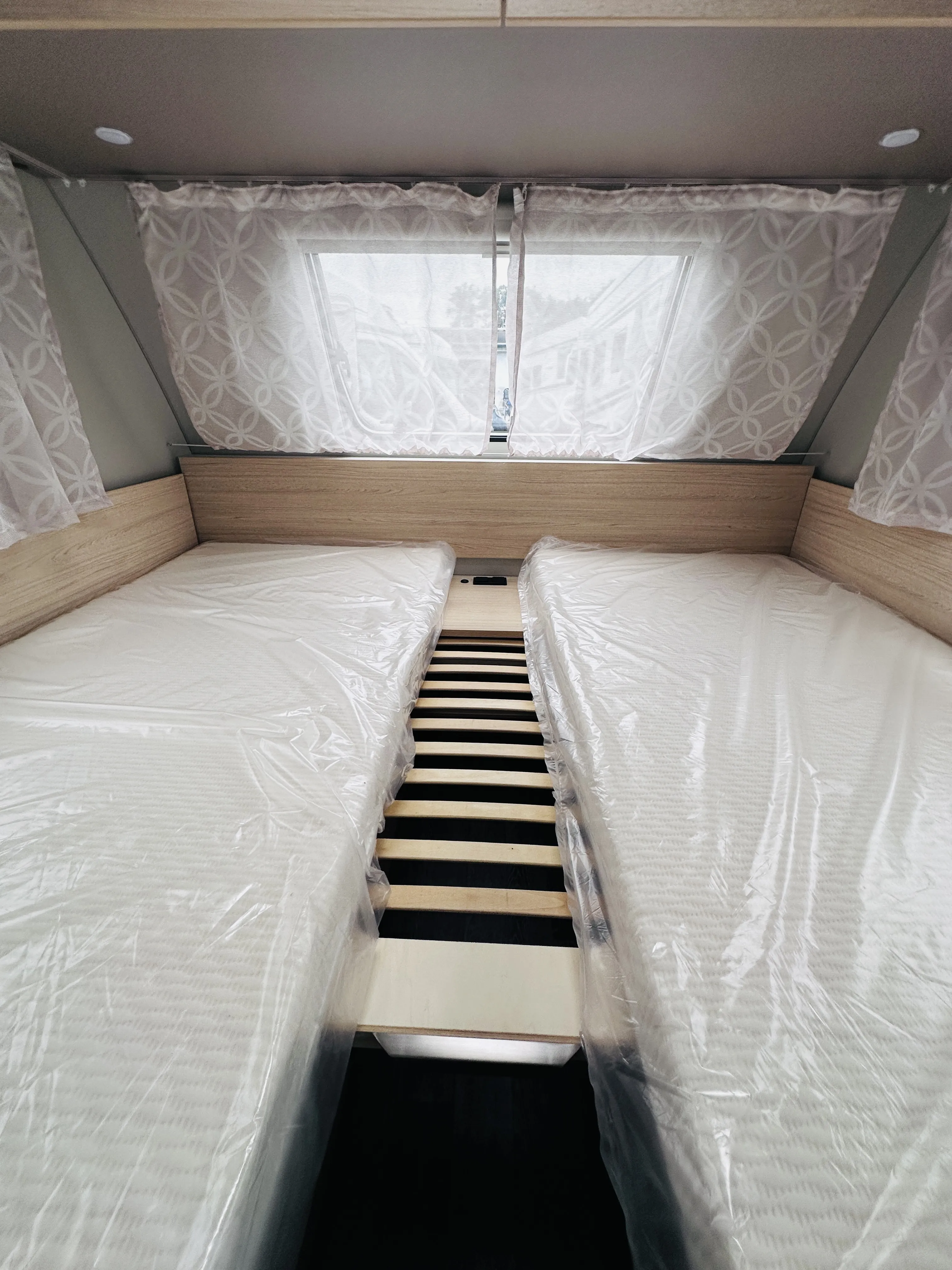 WB CaraCito 470 EU 4862 (7).JPG