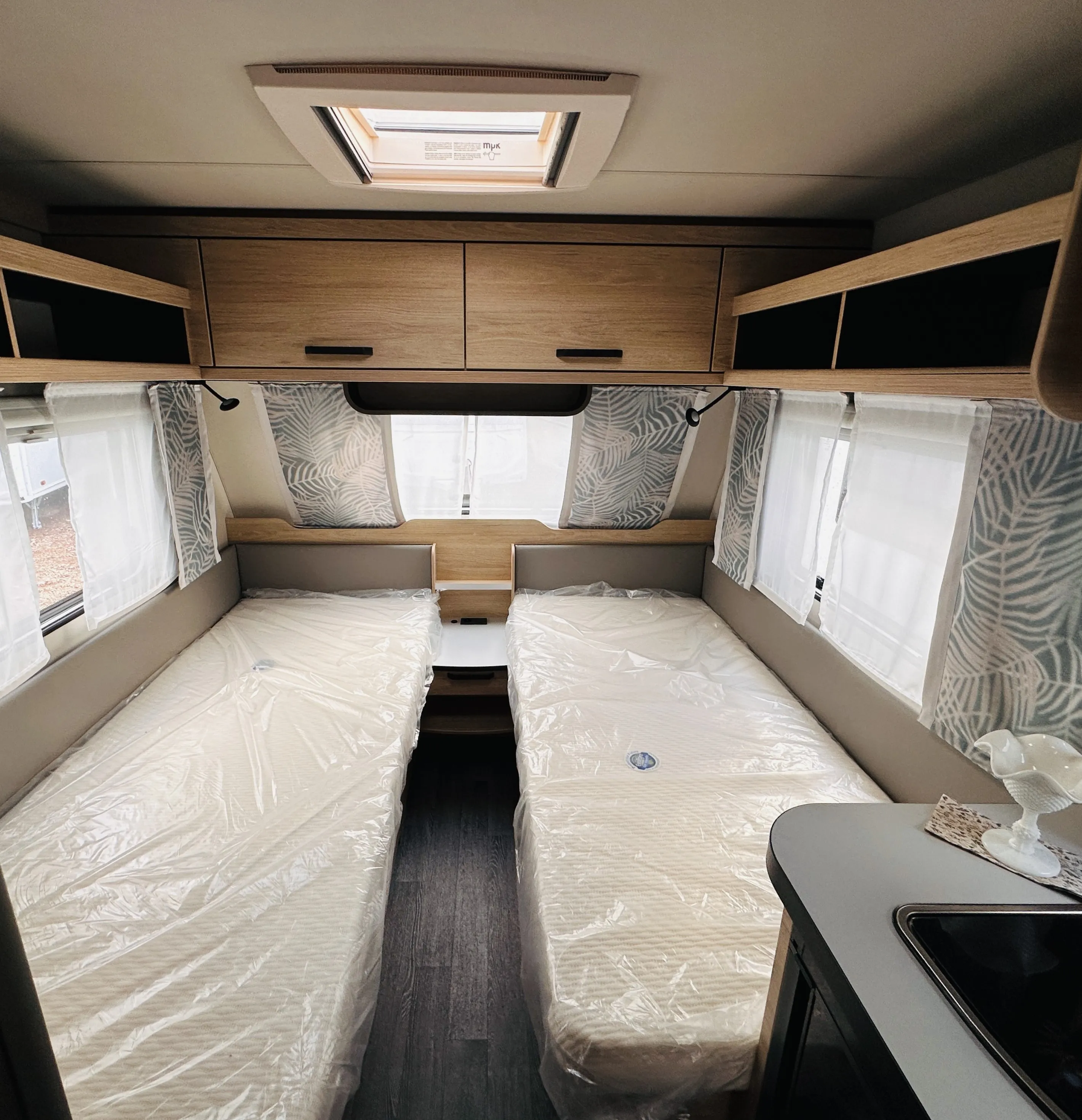 WB CaraOne 480 EU 4922 (7).JPG