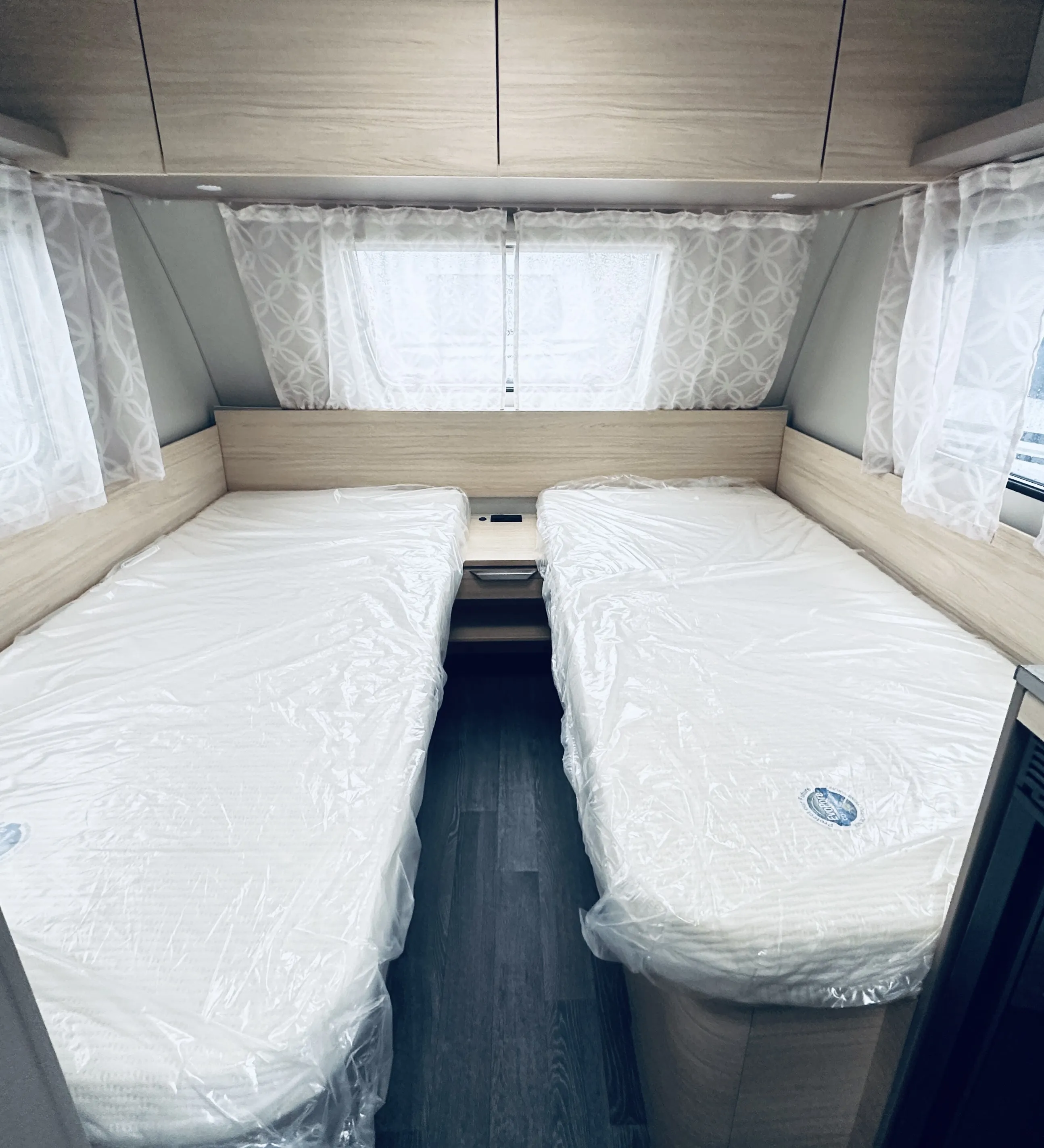 WB CaraCito 480 EU 4926 (4).JPG