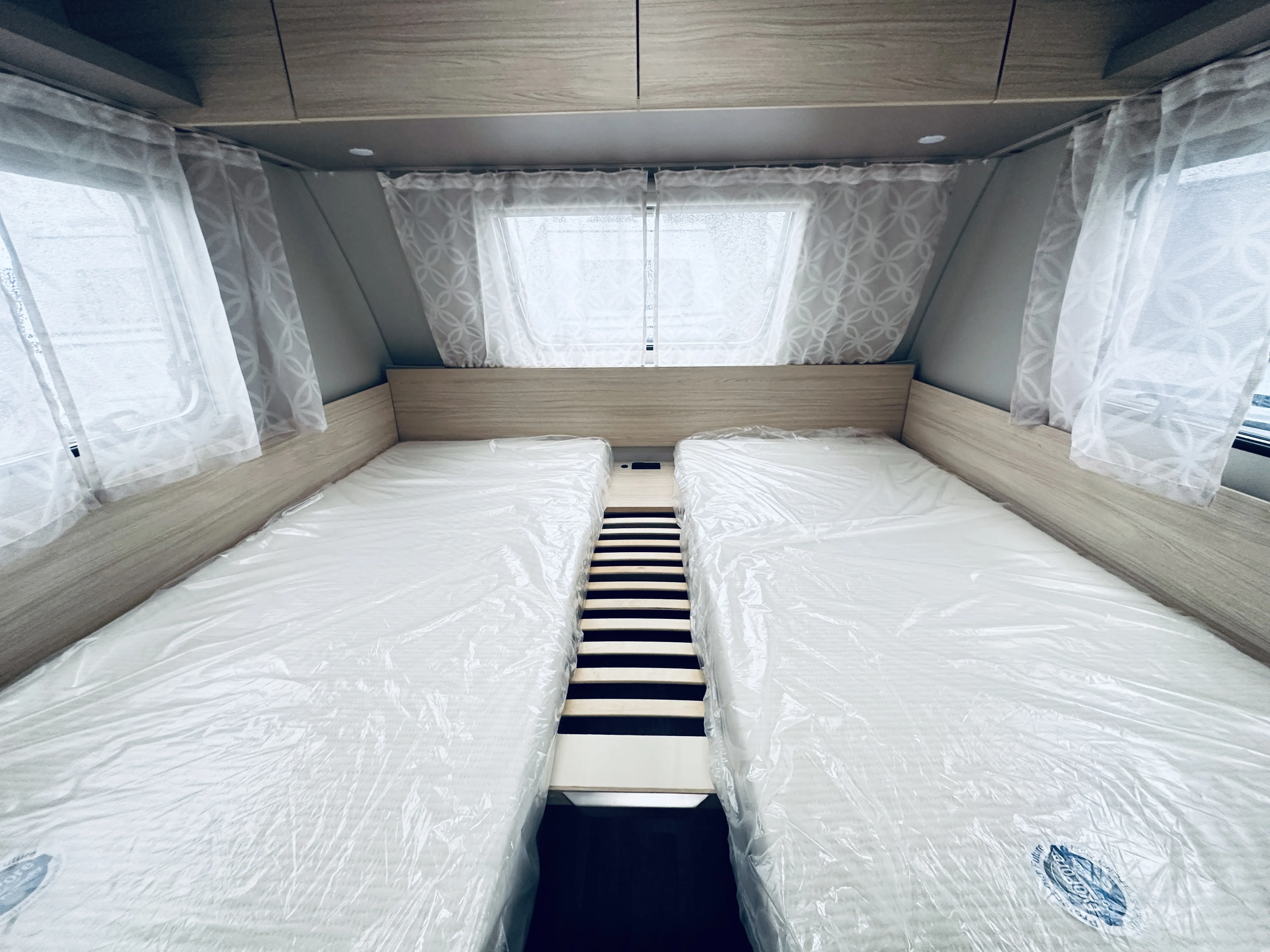 WB CaraCito 480 EU 4926 (5).JPG