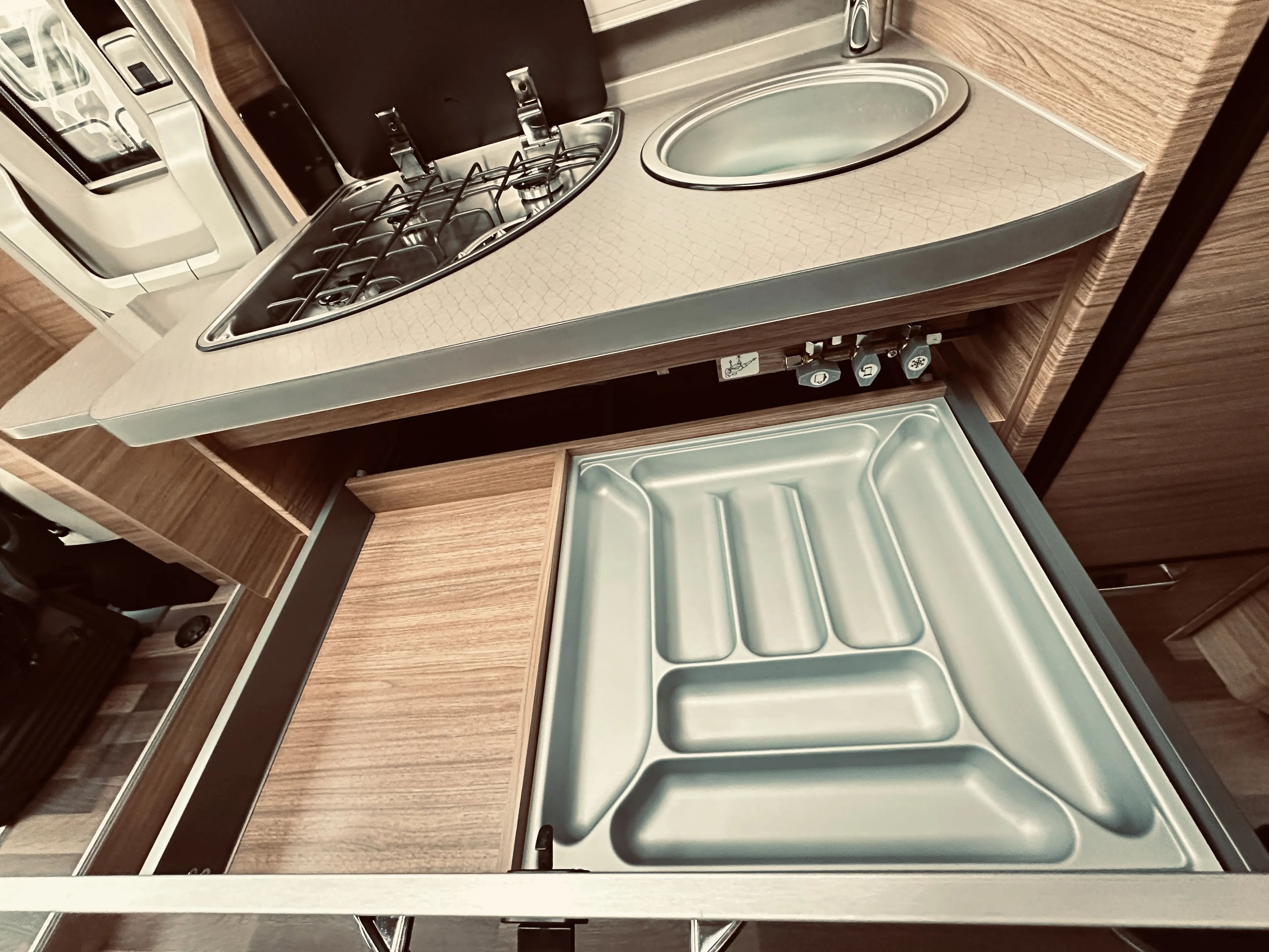 WB Pepper 600 MEG 4953 (17).JPG