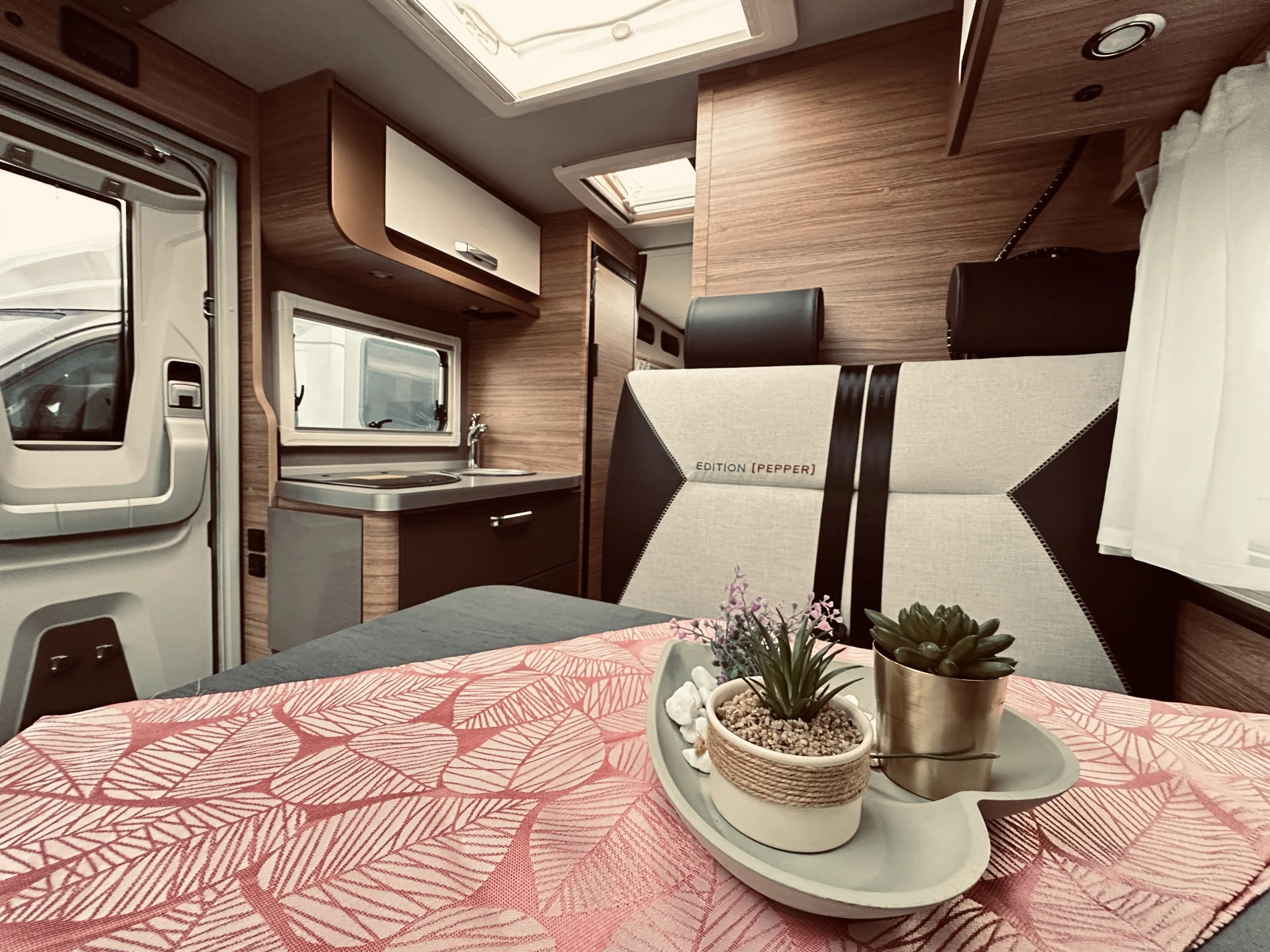 WB Pepper 600 MEG 4953 (7).JPG