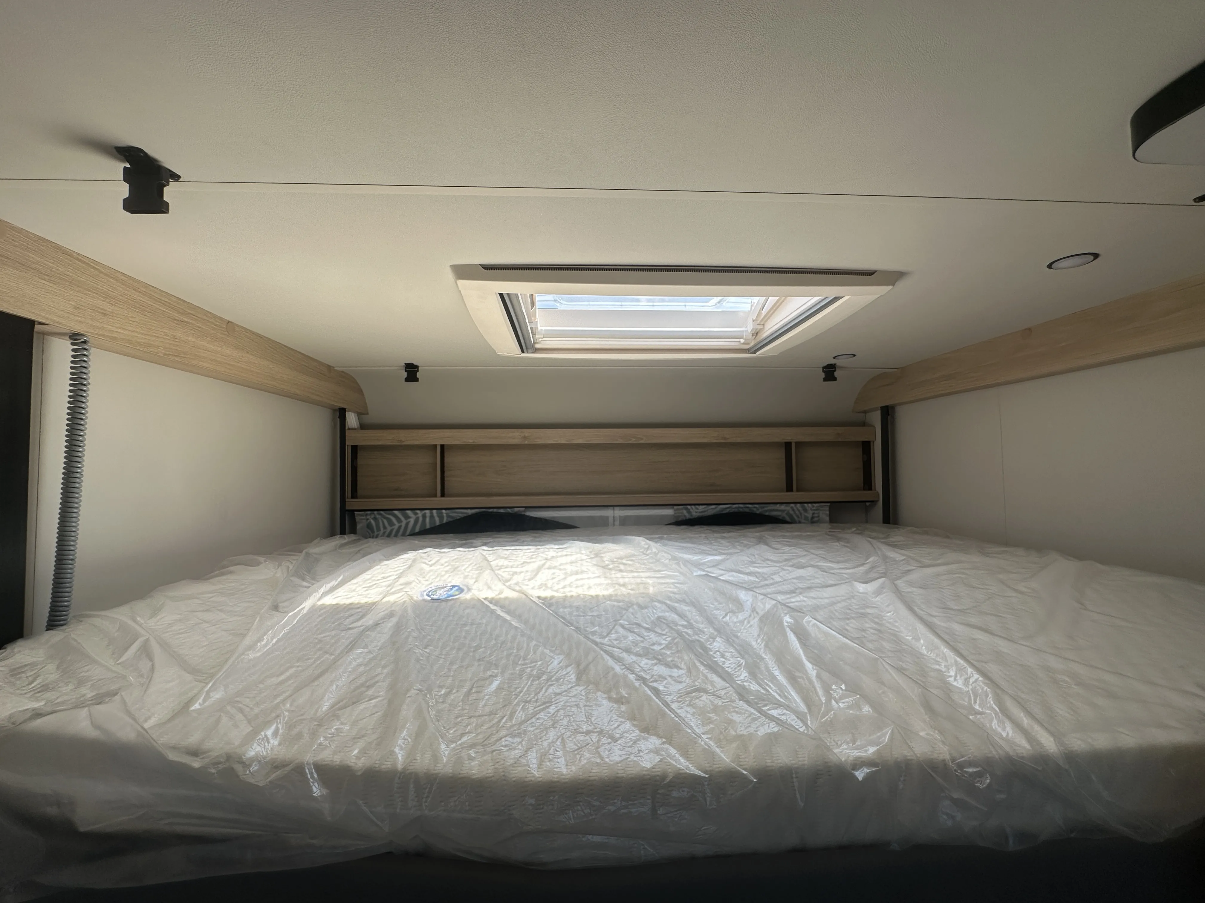 WB CaraOne 390 PUH 5216 (17).JPG
