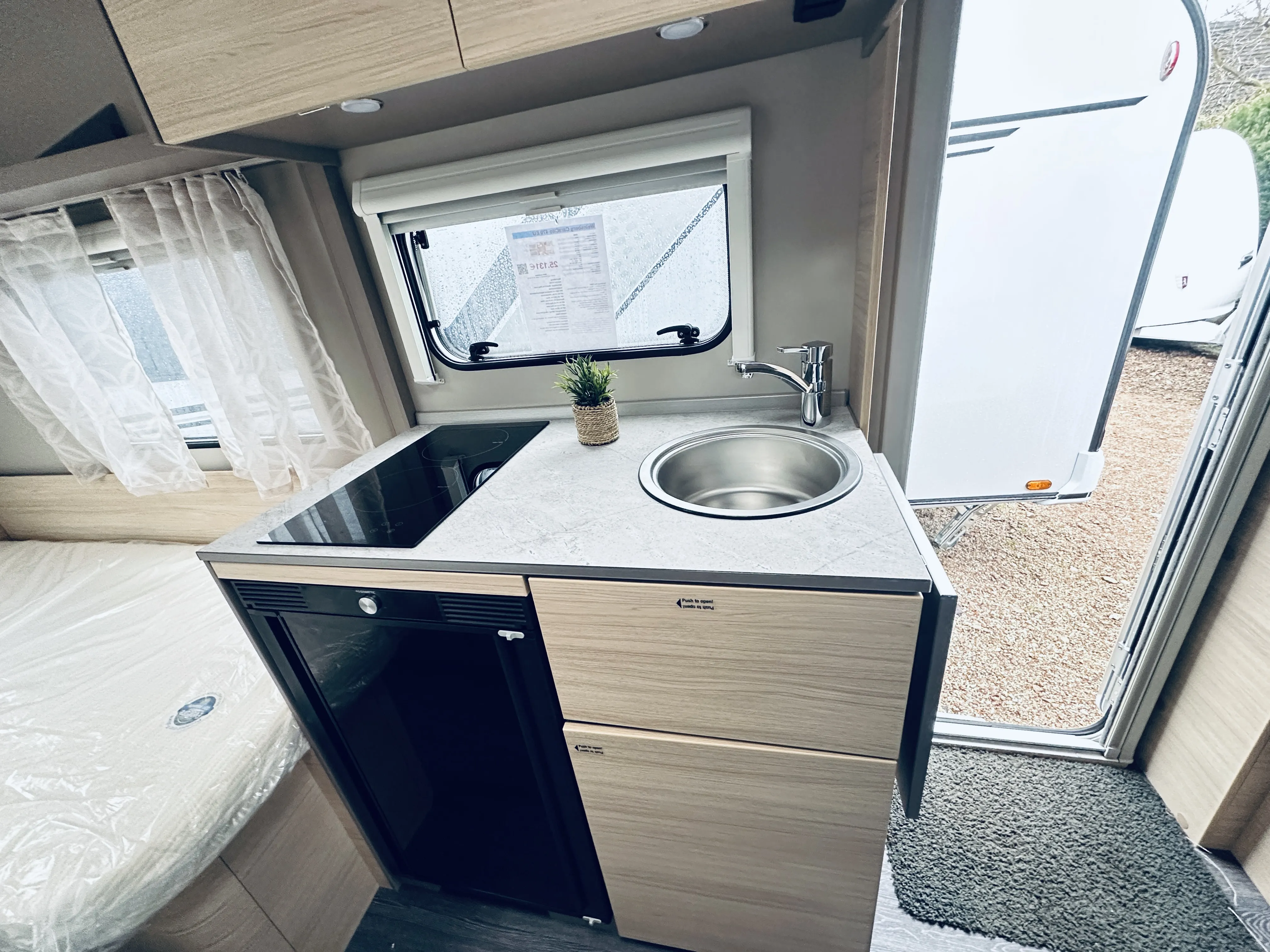 WB CaraCito 480 EU 4926 (8).JPG