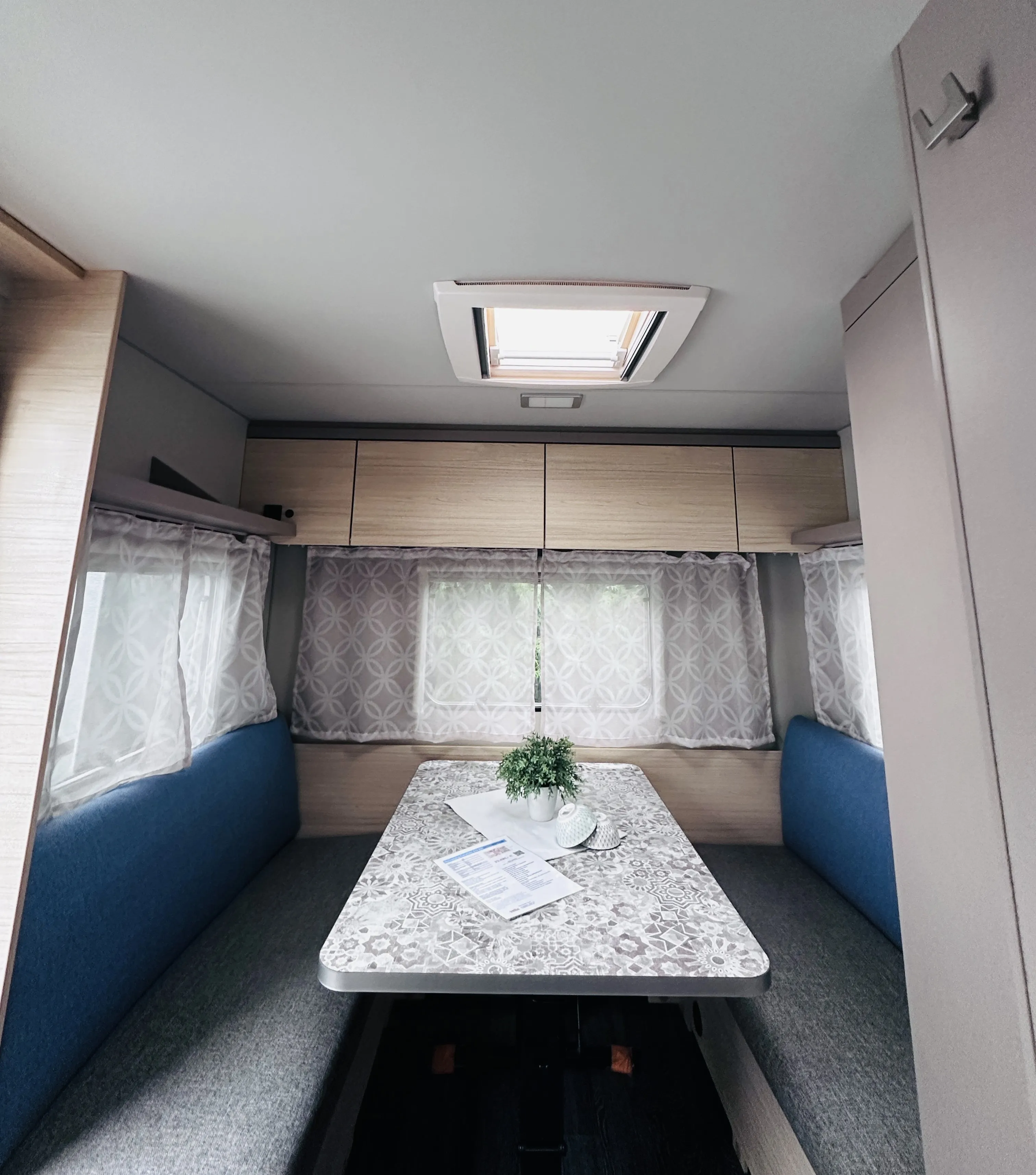 WB CaraCito 470 EU 4862 (10).JPG