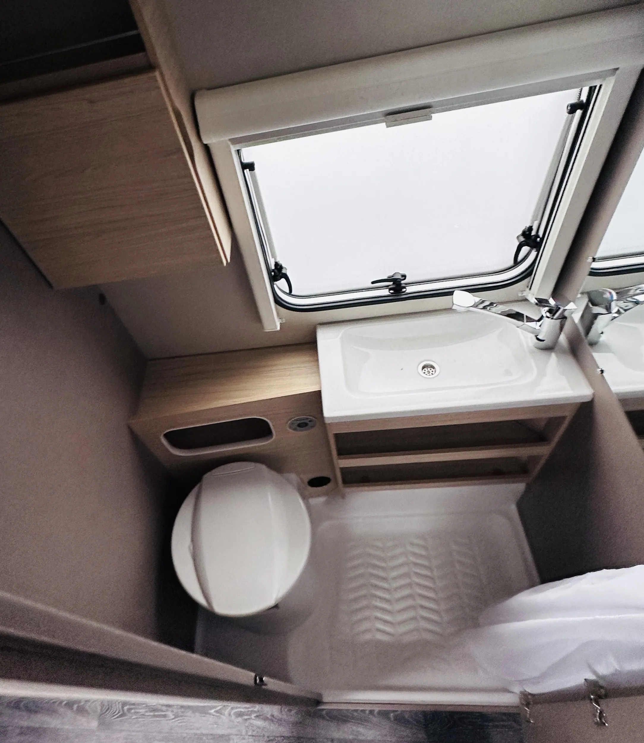 WB CaraCito 470 EU 4862 (14).JPG