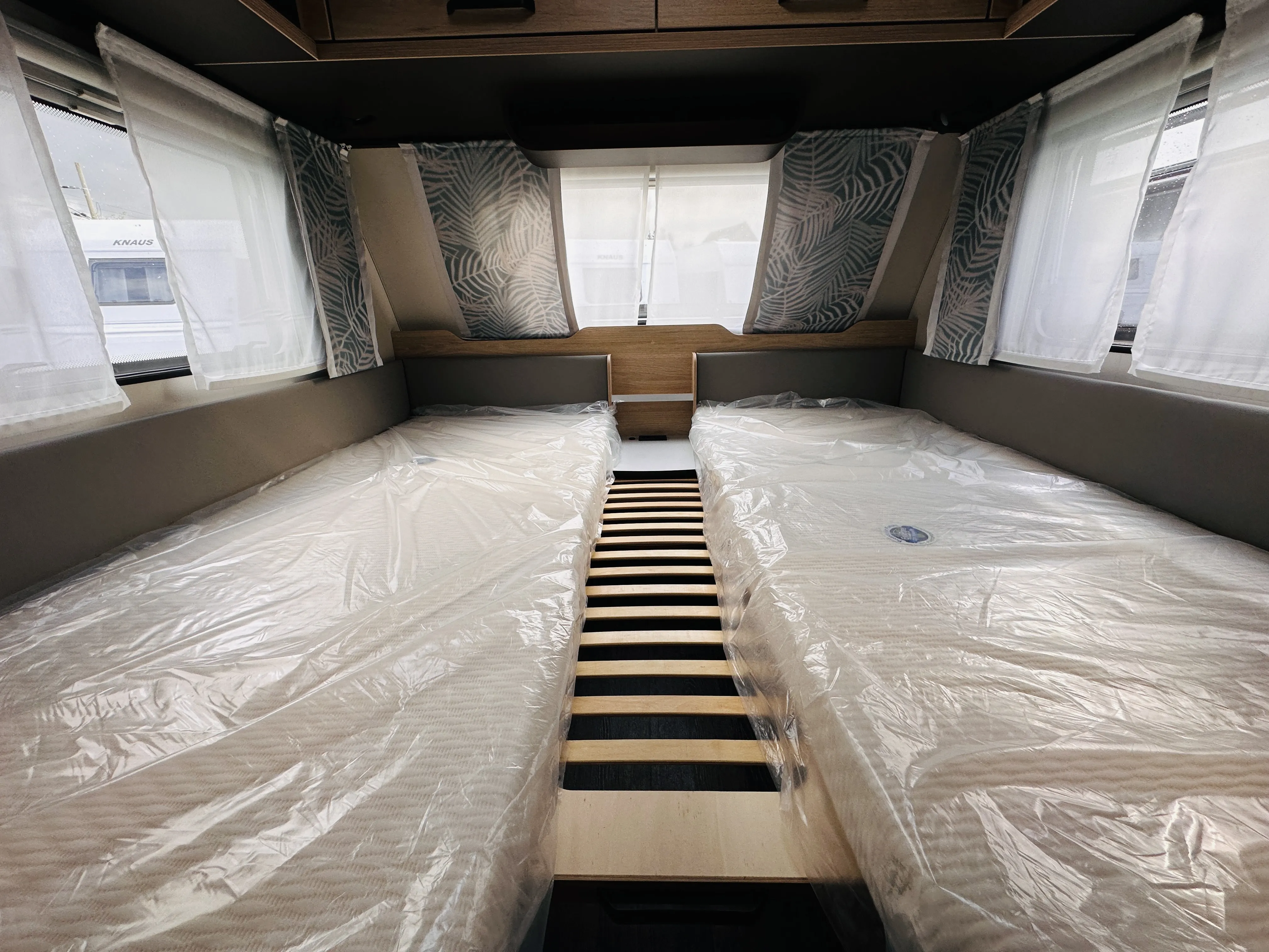 WB CaraOne 480 EU 4922 (8).JPG