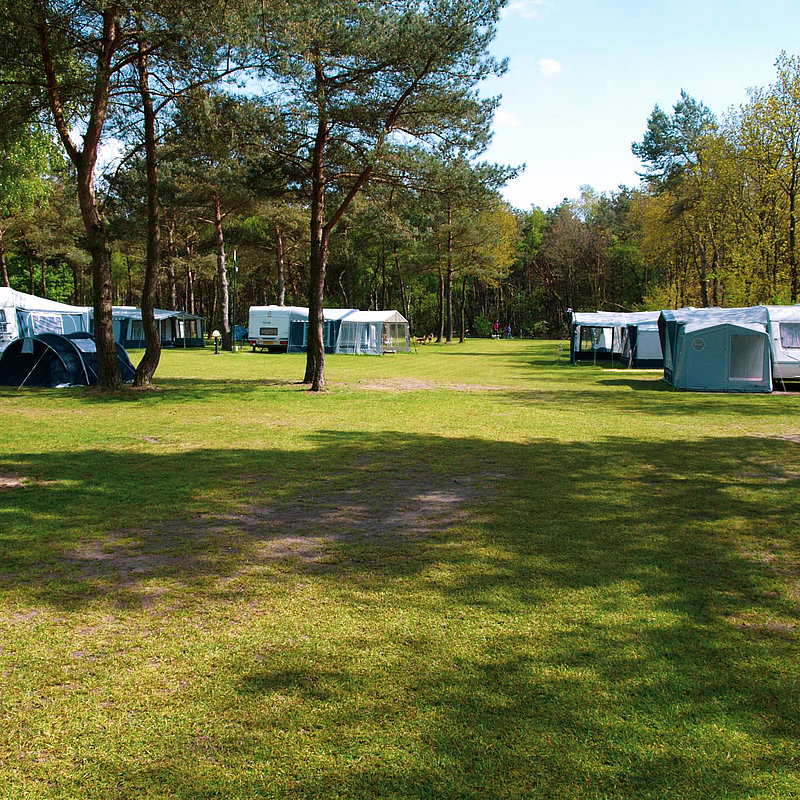 Campingplatz europarcs de wije werelt
