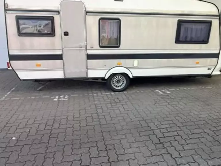 7806477.jpg