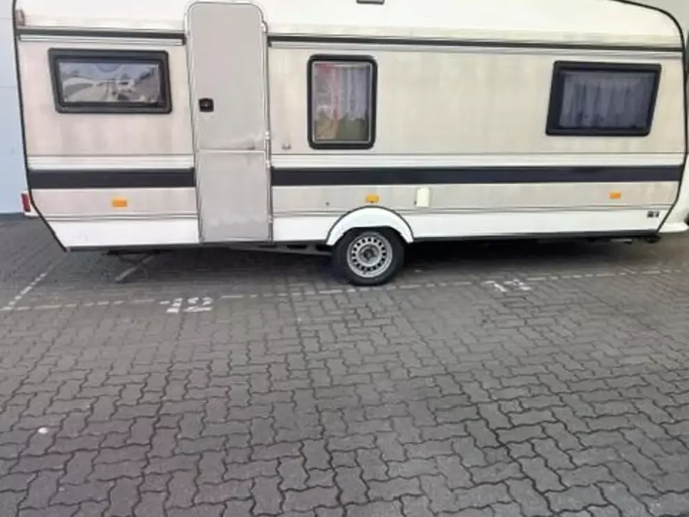 7806477.jpg