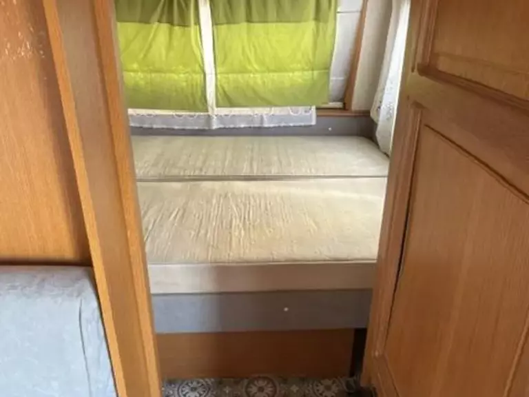7806474.jpg