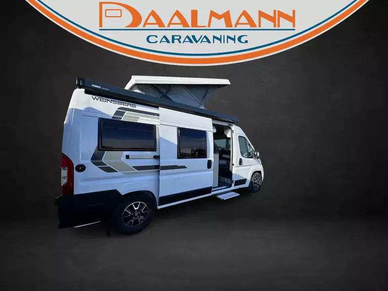 40642071.45504767.webp