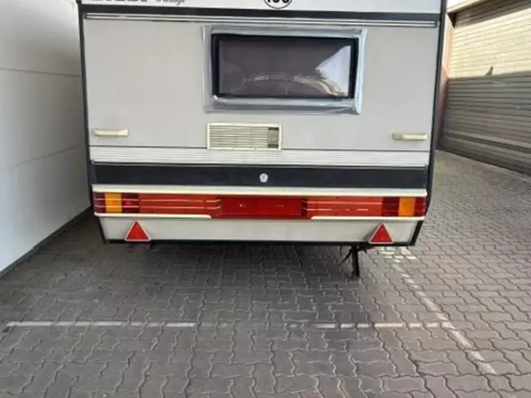7806475.jpg